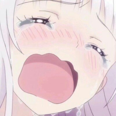 狗狗未牵绳被碾压主人当场崩溃